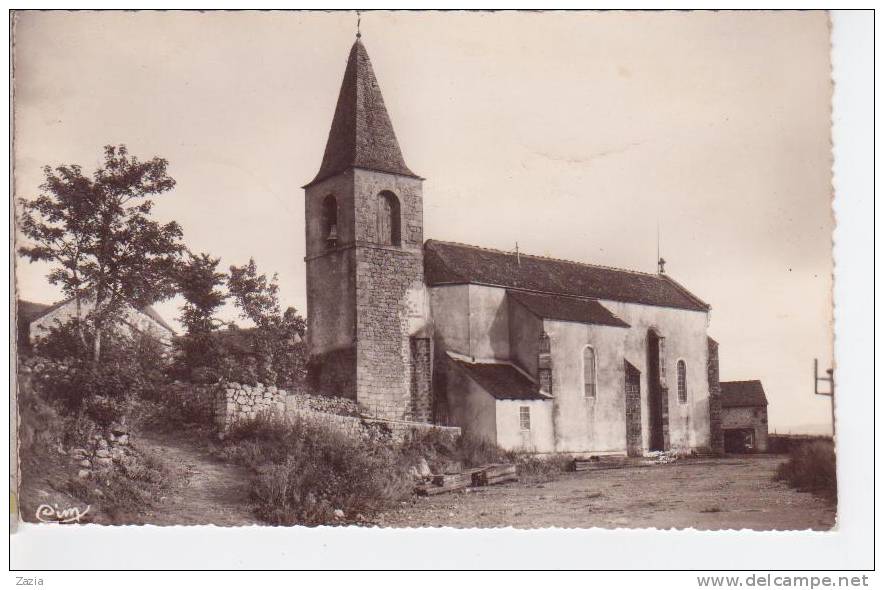 48.016/ CHATEAUNEUF DE RANDON - Place De L'église (cpsm N°808) - Chateauneuf De Randon