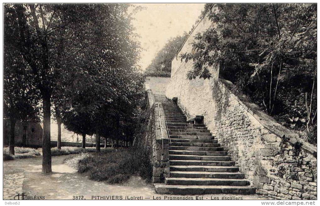 Pithiviers ( Loiret ) - Les Promenades Est, Les Escaliers - Pithiviers