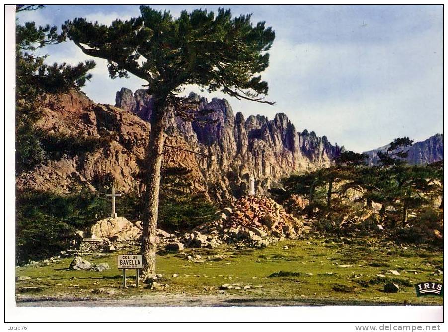 Les Arbres échevelés Par Le Vent, Seule NOTRE DAME DES NEIGES Donne Une Impression De Quiétude Au COL DE BAVELLA - Autres & Non Classés