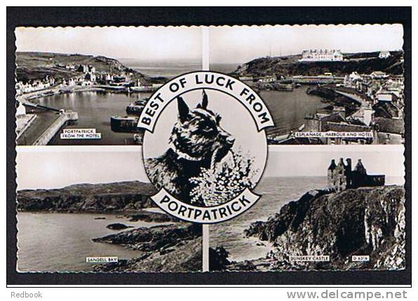 Real Photo Multiview Postcard Scottie Dog Portpatrick Dumfries & Galloway Scotland - Ref B144 - Dumfriesshire