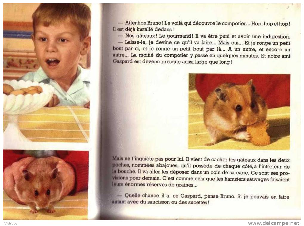 " Gaspard Le Hamster  ", Par Anne-Marie PAJOT- édition HATIER - Images De La Nature . - Other & Unclassified