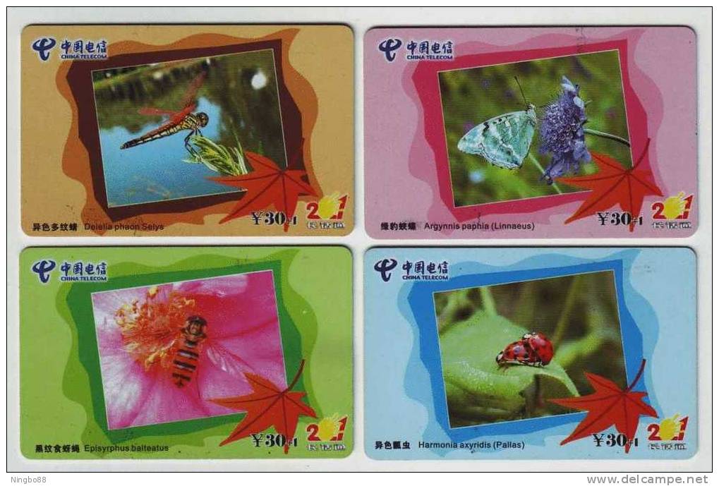 Insect Butterfly,bee Honeybee,dragonfly,lady Beetle Ladybug,China 2003 Set Of 4 Used Phonecards - Lieveheersbeestjes