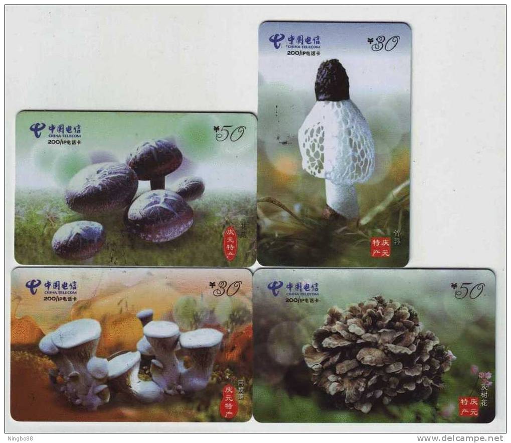Qingyuan Edible Fungi Industry,mushroom,China 2002 Set Of 4 Used Phonecards - Chine