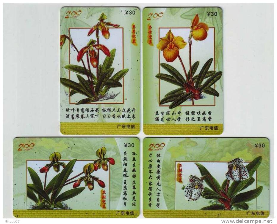 Lady-slipper Orchid Paphiopelum Villosum,China Set Of 4 Used Phonecards - Blumen