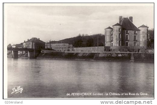 Peyreorade - Le Château Et Les Rives Du Gave - Peyrehorade