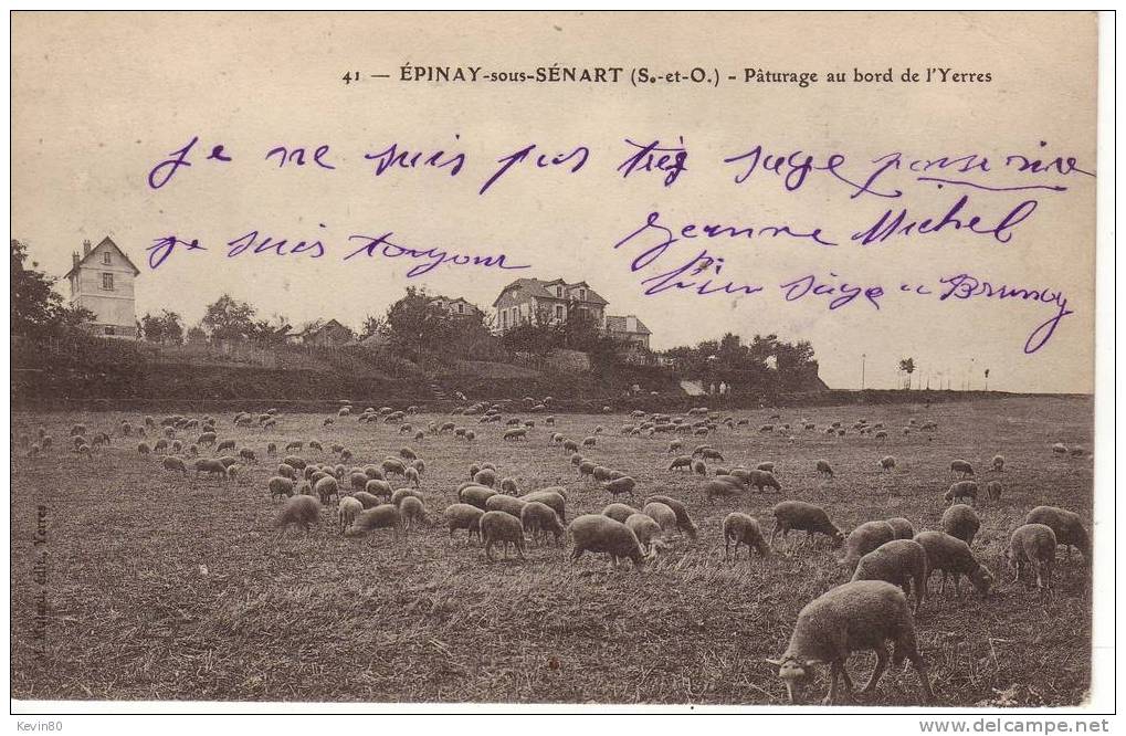 91 EPINAY SOUS SENART Pâturage Au Bord De L'Yerres Cpa Animée (moutons) - Crosnes (Crosne)