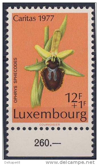 Luxemburg Luxembourg 1977 Mi 960 YT 910 ** Ophrys Sphegodes: Early Spider Orchid / Early Spider Orchid / Spinnenorchis - Neufs