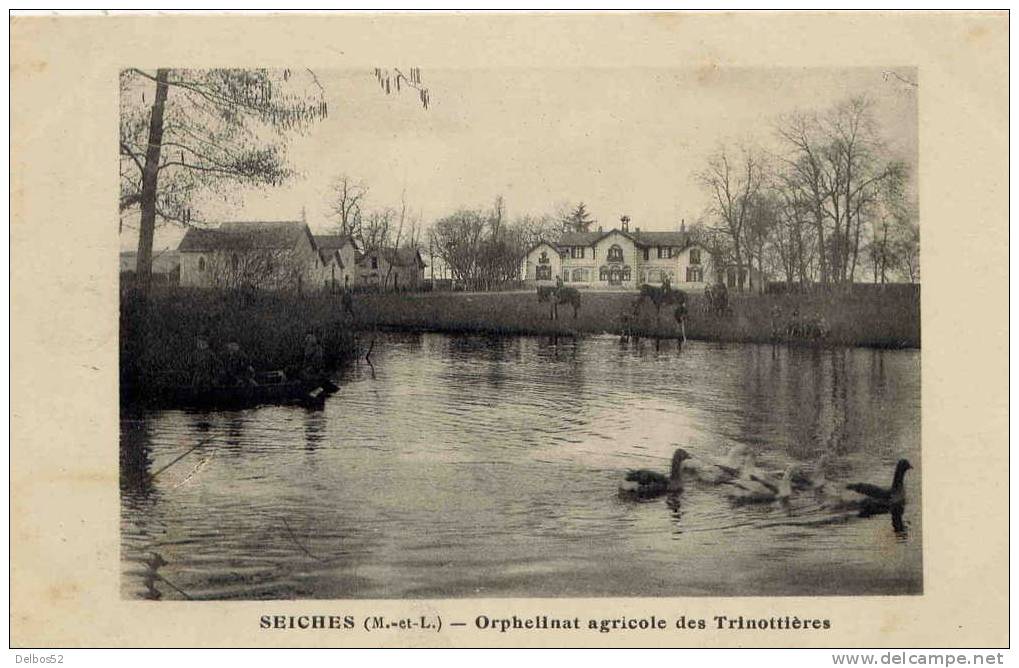 Seiches ( Maine Et Loire ) - Orphelinat Agricole Des Trinottières - Seiches Sur Le Loir