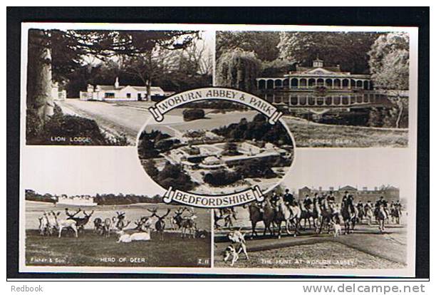 Real Photo Postcard Fox Hunt & Woburn Abbey & Park Bedford - Ref B147 - Sonstige & Ohne Zuordnung