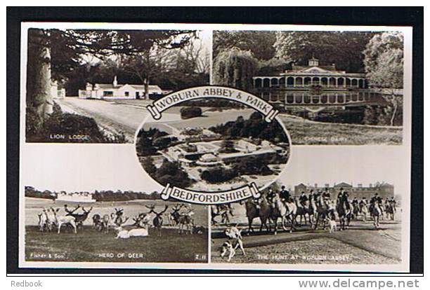 Real Photo Postcard Fox Hunt & Woburn Abbey & Park Bedford - Ref B147 - Autres & Non Classés