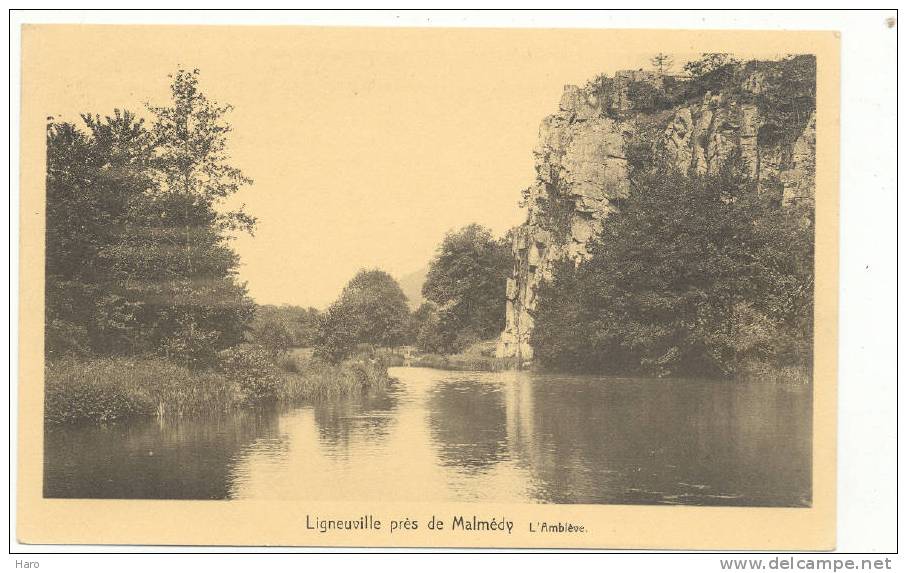 LIGNEUVILLE (Malmédy) L´Amblève  (1127) - Malmedy