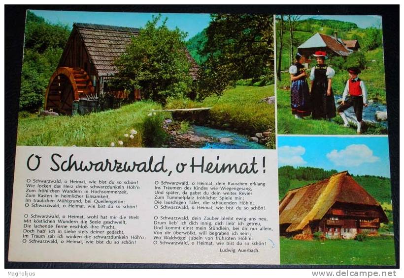 Mills,Water Mill,Schwarzwald,Germany,Multipicture,postcard - Molinos De Agua
