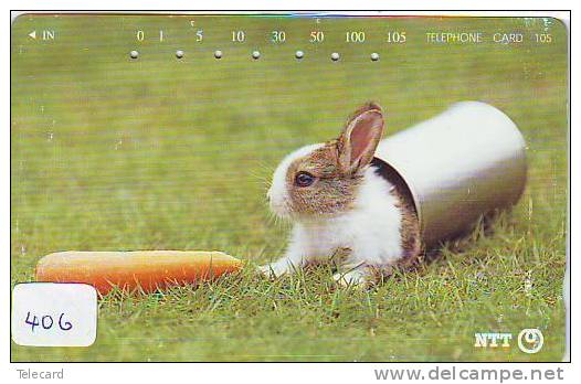 LAPIN Rabbit KONIJN Kaninchen Conejo (406) - Conejos