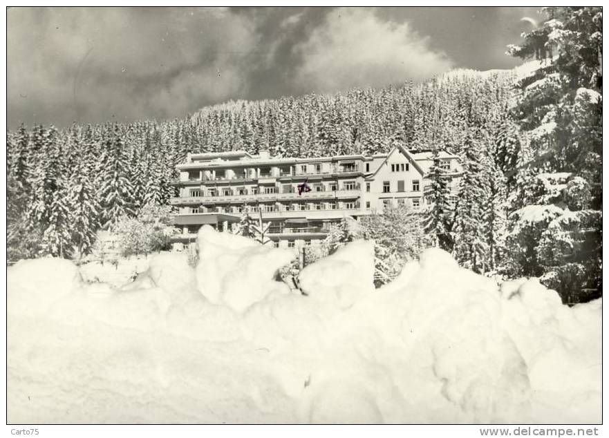 SUISSE - Crans Sur Sierre - Hôtel Alpina Et Savoy - Sierre