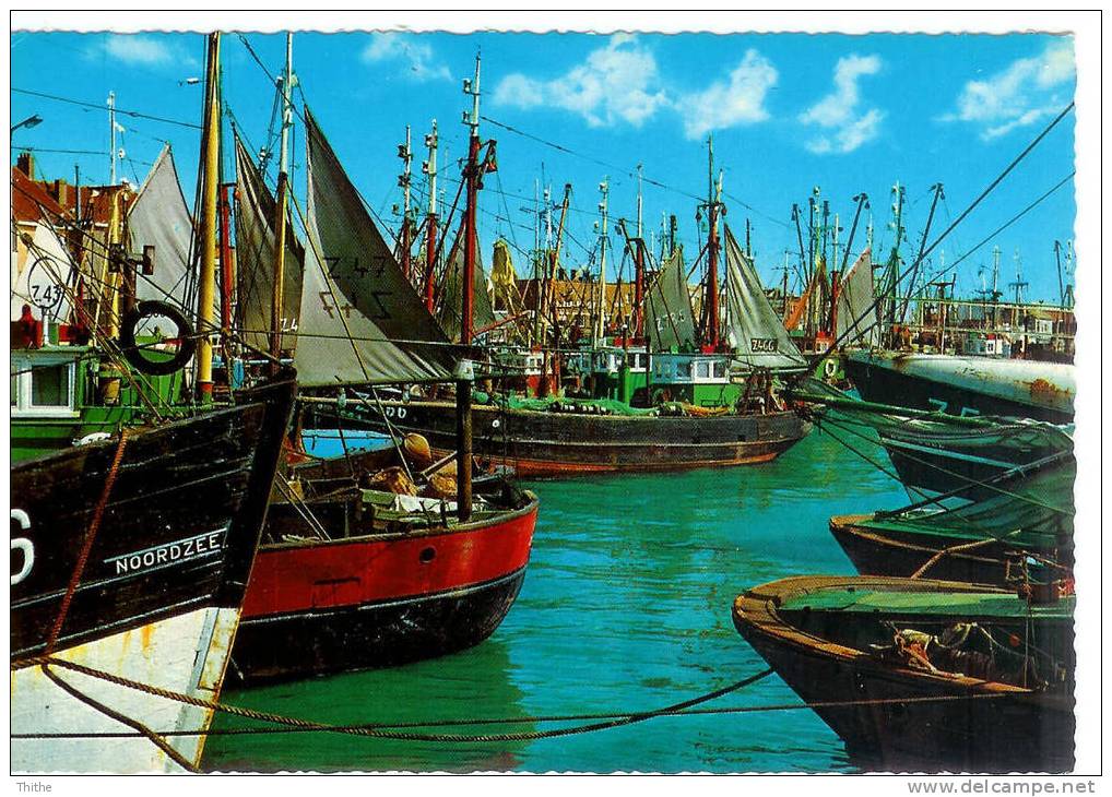 ZEEBRUGGE - Visserssloepen - Bateaux De Pêche - Zeebrugge