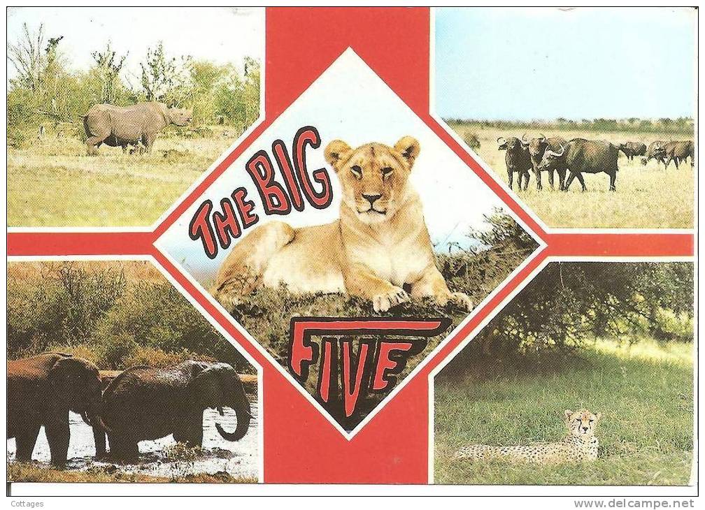 KENYA - Kensta Wildlife Series - The Big Five - Multivue - Kenya