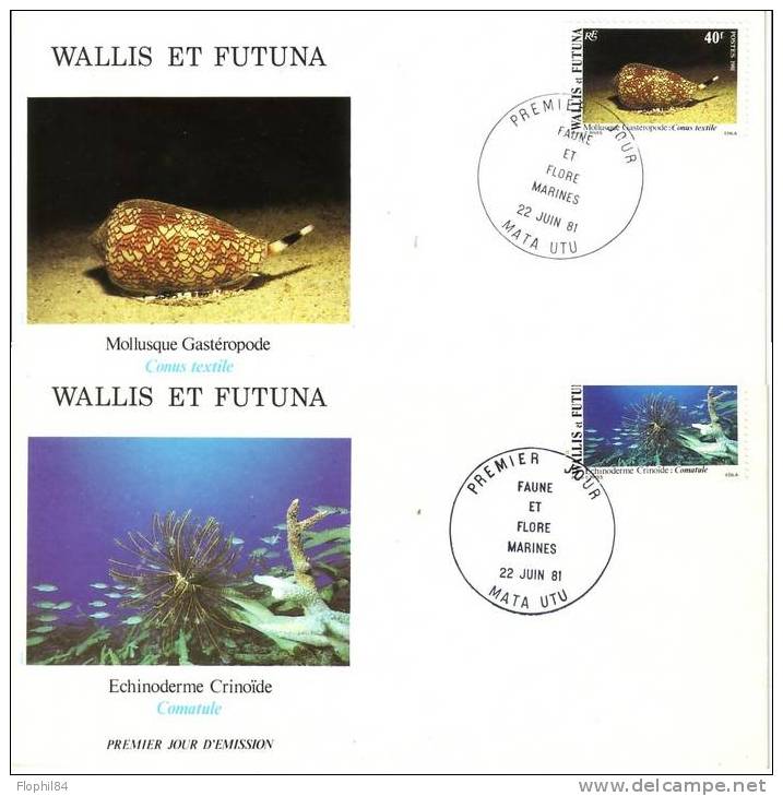 WALLIS ET FUTUNA-FAUNE ET FLORE MARINE 22-6-1981- 6 ENVELOPPES 1er JOUR - Other & Unclassified