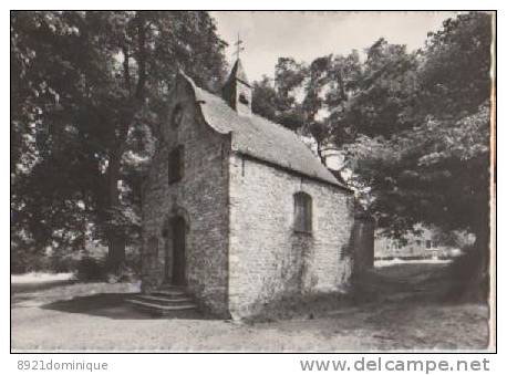 BRAINE-LE-CHATEAU Chapelle Notre-Dame-au-Bois - Braine-le-Château