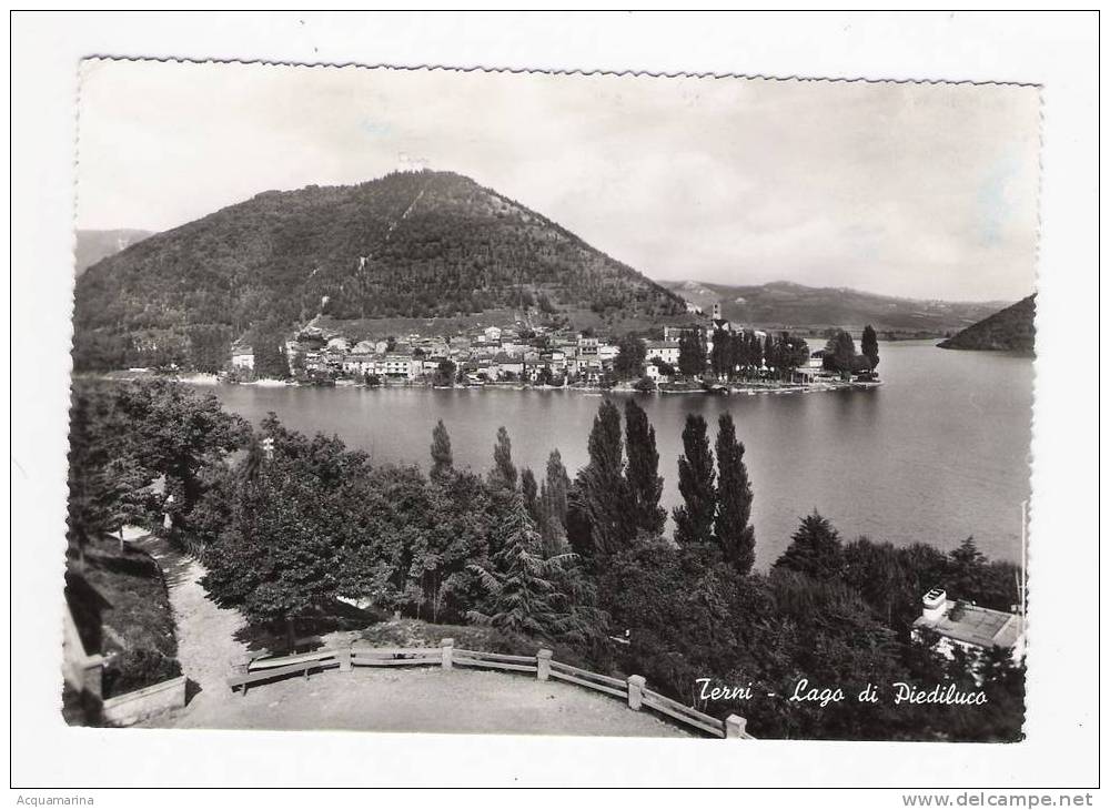 TERNI - Lago Di Piediluco - Cartolina FG BN 1963 - Terni