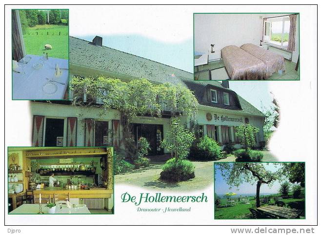 Dranouter  Heuvelland  De Hollemeersch - Heuvelland