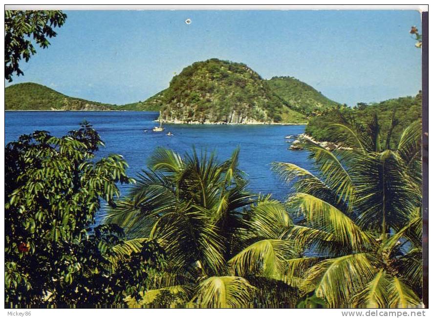 Guadeloupe-- Les Saintes , Cm N° 226  éd  Antilles Touristiques - Autres & Non Classés