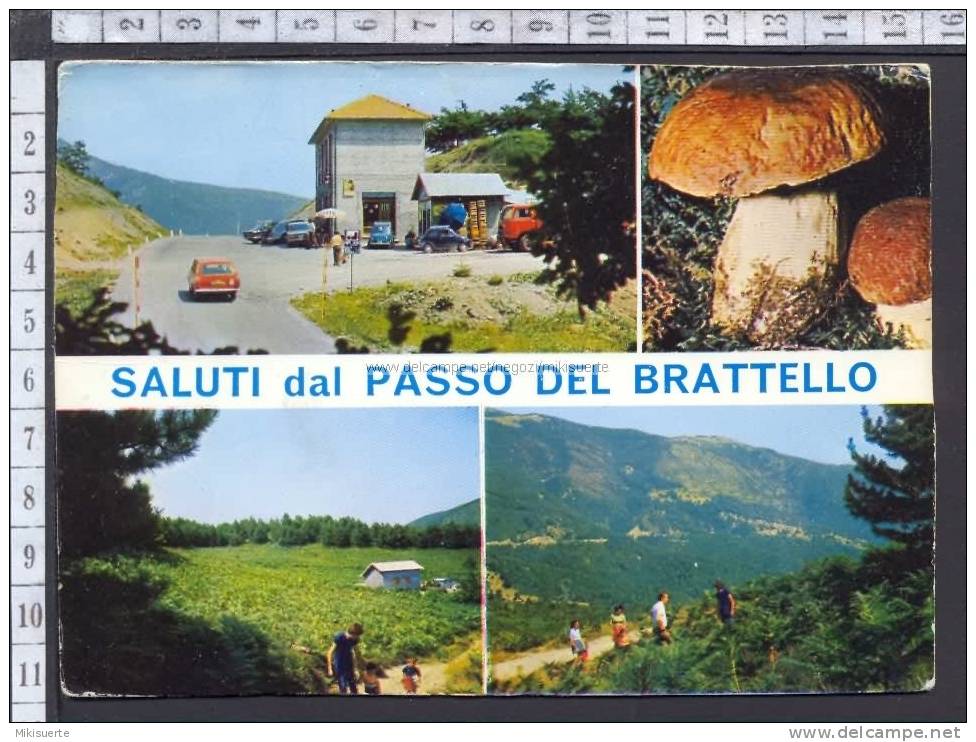 M7765 SALUTI DAL PASSO DEL BRATTELLO (MASSA CARRARA) F/G Cartolina-Postcard - Massa