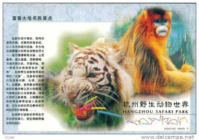 Tiger Monkey Gabbion  ,  Pre-stamped Card , Postal Stationery - Singes