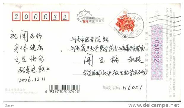 Coneshell Shell , Dalian Shell Museum  ,  Pre-stamped Card , Postal Stationery - Coneshells