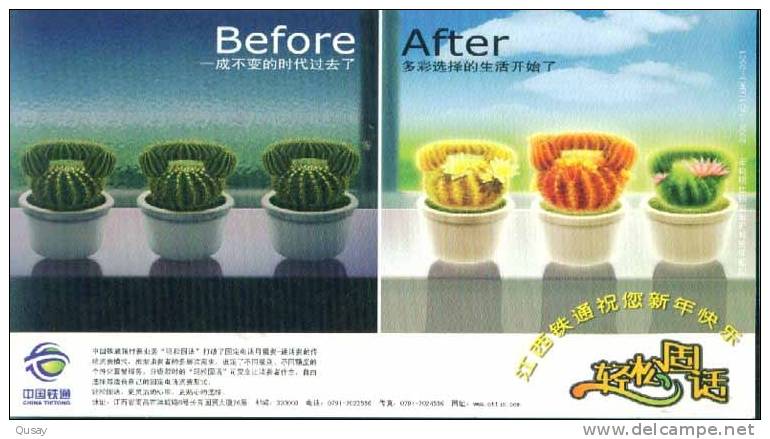 Cactus Cactusses  ,  Pre-stamped Card , Postal Stationery - Sukkulenten