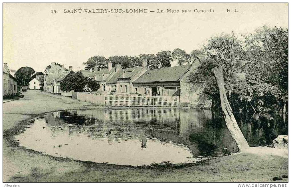 CPA 80 : SAINT VALERY SUR SOMME  La Mare Aux Canards   VOIR DESCRIPTIF - Saint Valery Sur Somme