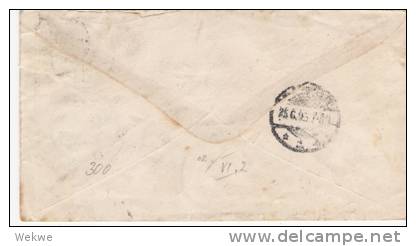 Nl277/- NIEDERLANDE - Willem+Wilhelmina, Mischfrankat. 1895, N. Mannheim/Deutschl. Einschreiben - Brieven En Documenten