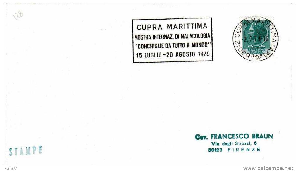 SS128 - REPUBBLICA  , Mostra Di Cupra Marittima 1979 - Coneshells