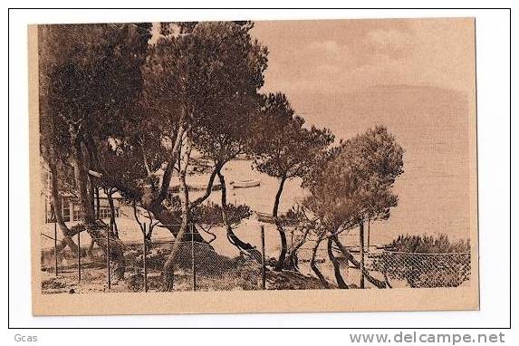 La Gorguette, Vue Sur L'ile De Bandol - Bandol