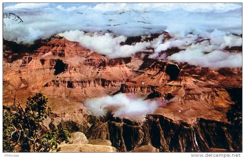 CPSM Format CPA  Belle Carte Postale Etat-unis Grand Canyon National Park Arizona - 1973 - Kings Canyon