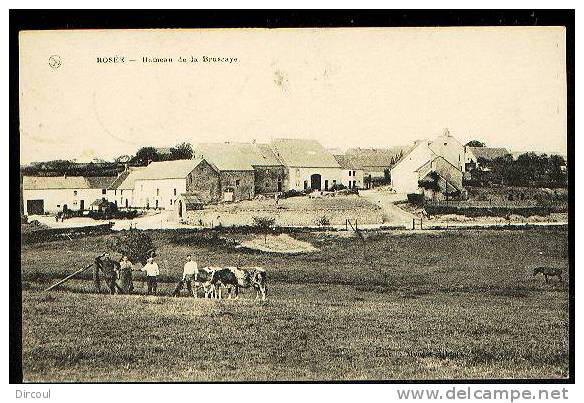 8862 -  Rosée   Hameau De La Bruscaye - Florennes