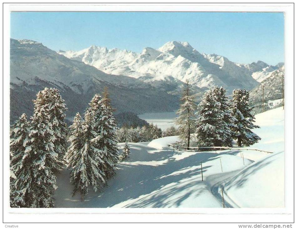 SUISSE.-Bei St.Moritz , Oberengadin. - Saint-Moritz