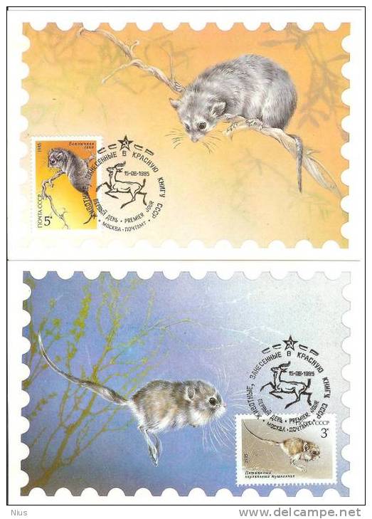 Russia USSR 1985 MC X5 Maximum Cards Fauna Rodent Rodents Goitered Gazelle Caracal Lynx Cat - Cartes Maximum