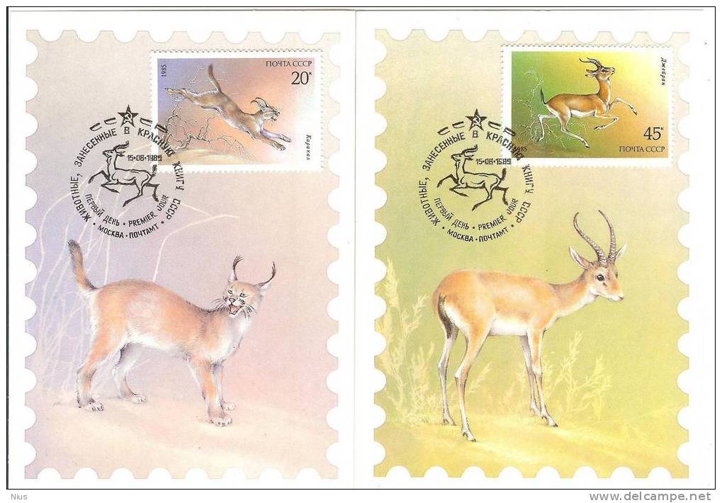 Russia USSR 1985 MC X5 Maximum Cards Fauna Rodent Rodents Goitered Gazelle Caracal Lynx Cat - Cartoline Maximum