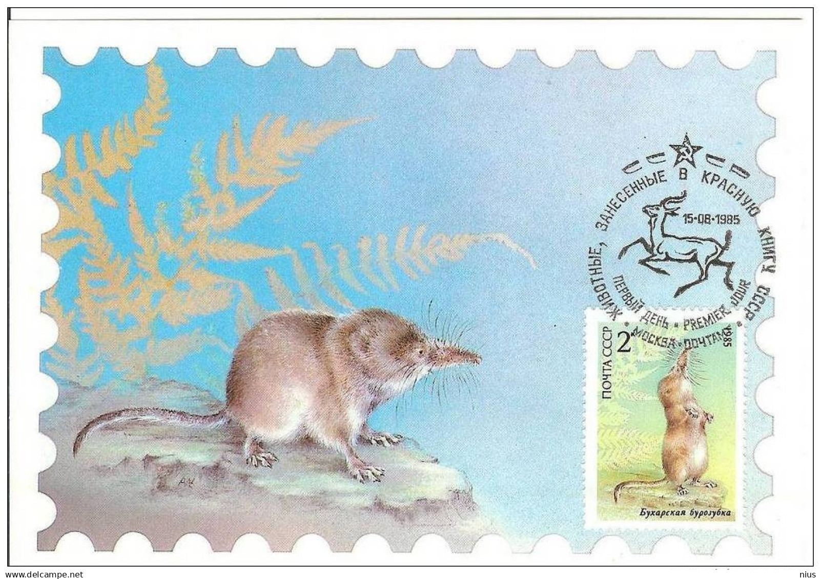 Russia USSR 1985 MC X5 Maximum Cards Fauna Rodent Rodents Goitered Gazelle Caracal Lynx Cat - Cartoline Maximum