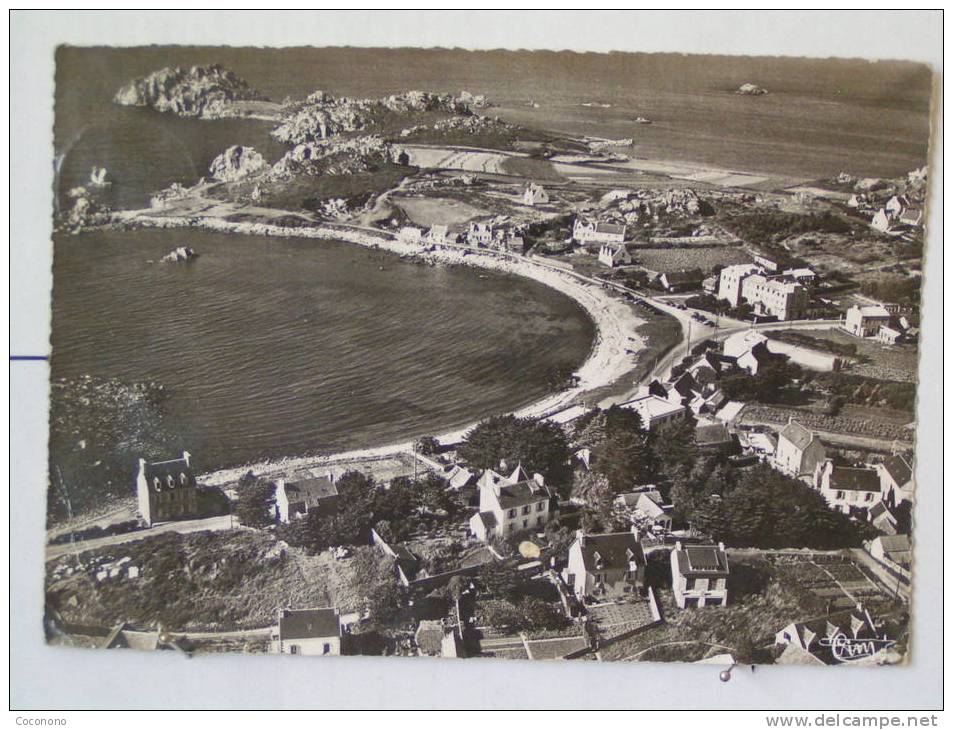 Plougasnou - Vue Aérienne De La Pointe Vers La Mer - Plougasnou