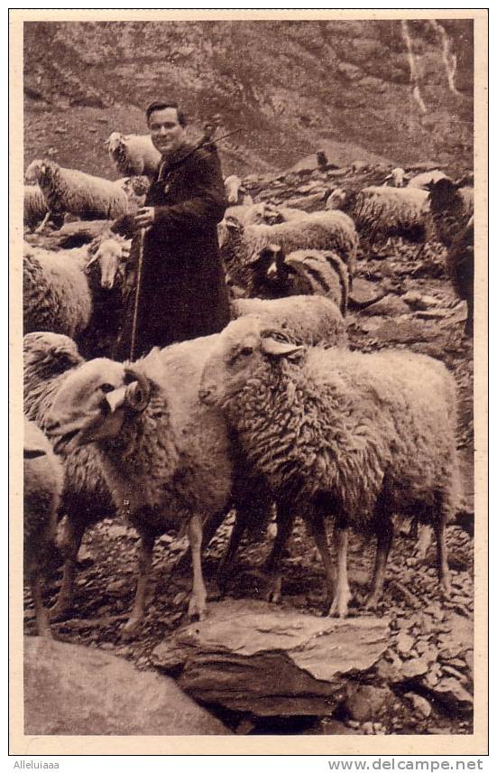 CPA Belle Carte Postale FRANCE Pâtre PASTEUR Et Troupeau - élevage De Mouton - - Viehzucht