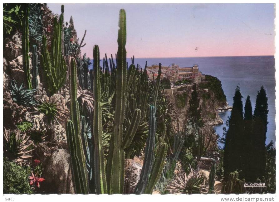 Monaco - Les Jardins Exotiques - Vue Sur Le Rocher De Monaco - Jardin Exotique