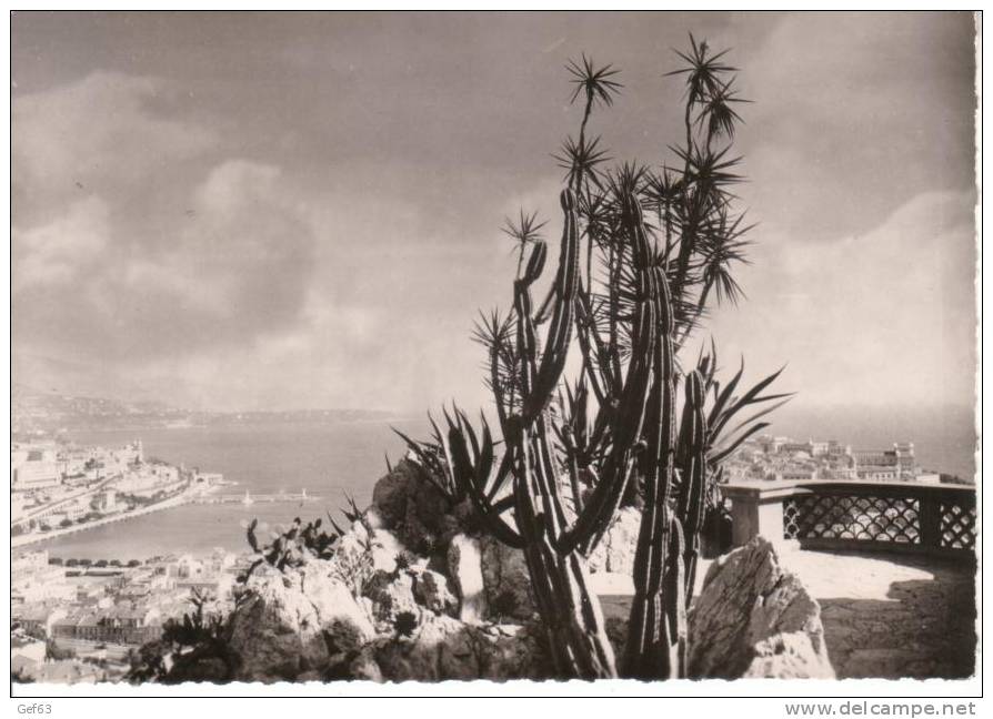 Jardins Exotiques De Monaco - La Principauté De Monaco Vue à Travers Les Cereus Et Yaccas Du Jardin Exotique - Exotische Tuin
