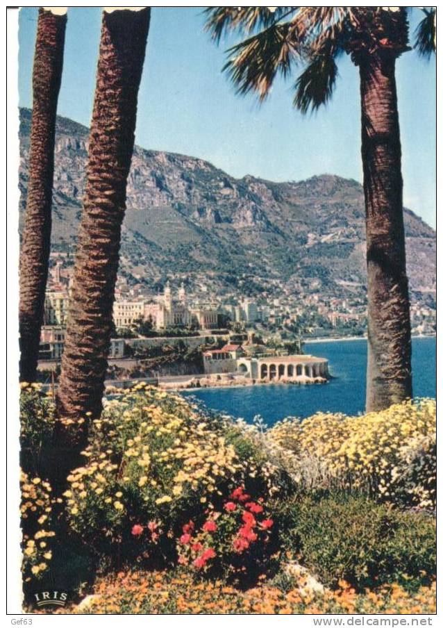 Monte-Carlo - Le Casino Et Le Tir Aux Pigeons, Vus De La Porte Neuve (1959) - Casinò