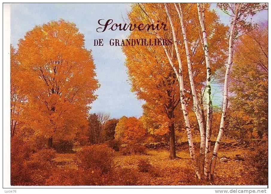 GRANDVILLIERS  -  Automne - Grandvilliers