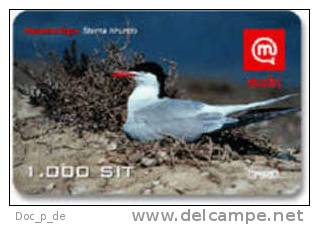 Slovenia - Mobi GSM Recharge Card - Bird  - Common Tern -  1000SIT - 31/12/2010 - Slowenien