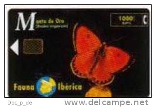 Spain - Spanien - Fauna Iberica - Schmetterling - Butterfly - Basic Issues