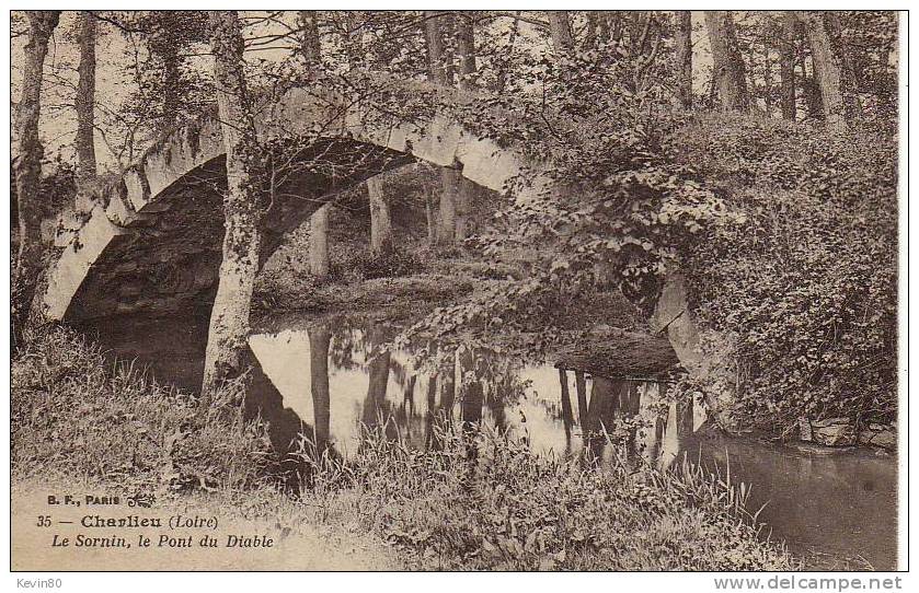 42 CHARLIEU Le Sornin Le Pont Du Diable - Charlieu