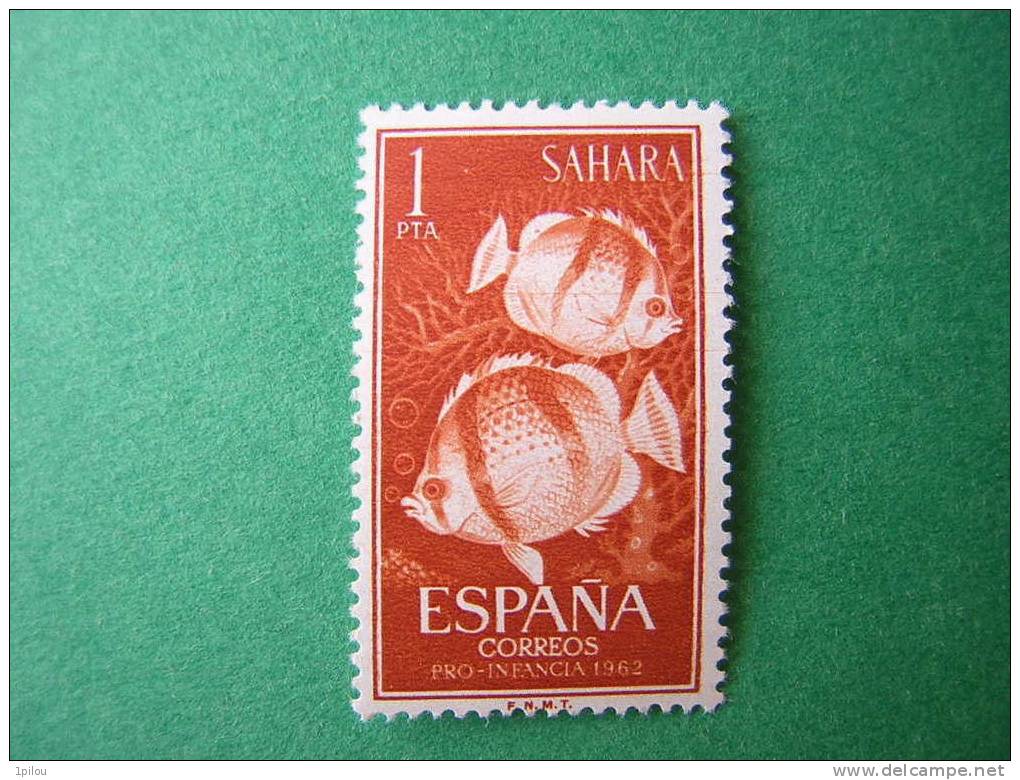 SAHARA ESPAGNOL.  POISSONS. - Spanish Sahara