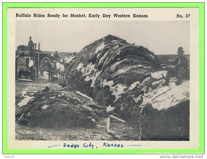 DODGE CITY, KS - BUFFALO HIDES READY FOR MARKET - EARLY DAY WESTERN KANSAS - TRAVEL IN 1952 - MULTAKROM POST CARD CO - - Andere & Zonder Classificatie